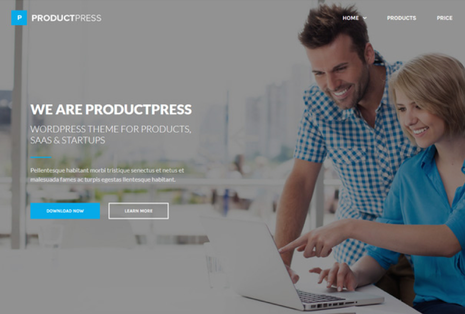 ProductPress Easy Digital Downloads WordPress theme