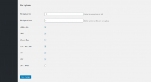 File Upload Settings