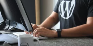 Service WordPress Maintenance Services (Hosting + Website Maintenance)