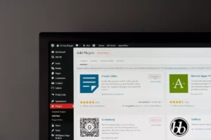 WordPress Plugin Development Services
