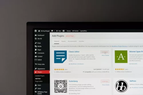 WordPress Plugin Development Services