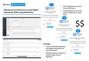 Easy Digital Downloads Mailchimp Abandoned Carts