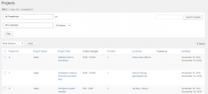 Freelancer Marketplace Project List at Backend